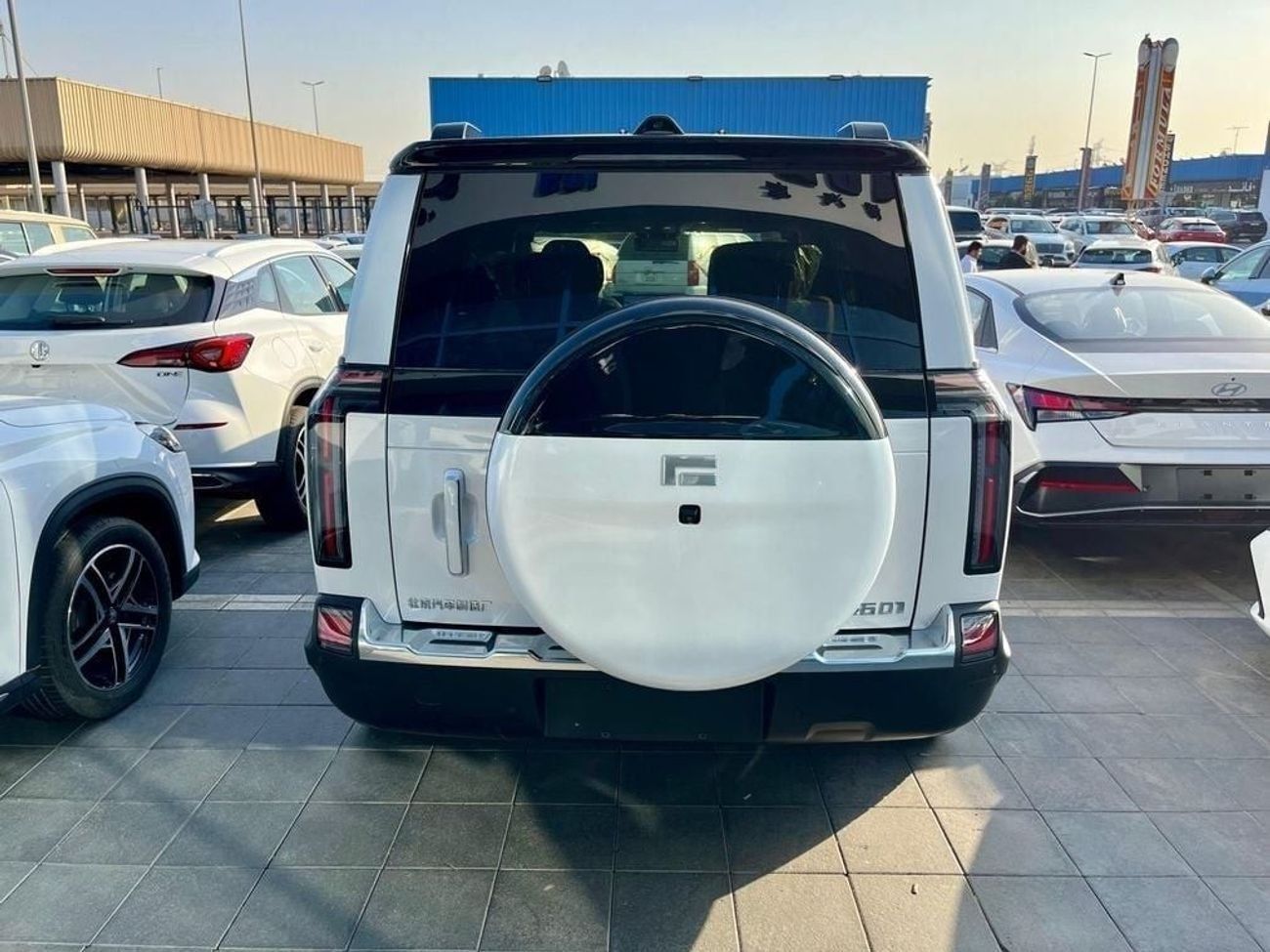 ROX 01 Long Range VIP 6 Seats VIP