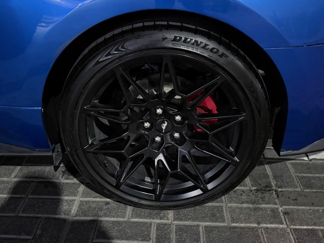 Ford Mustang, миниатюра 19