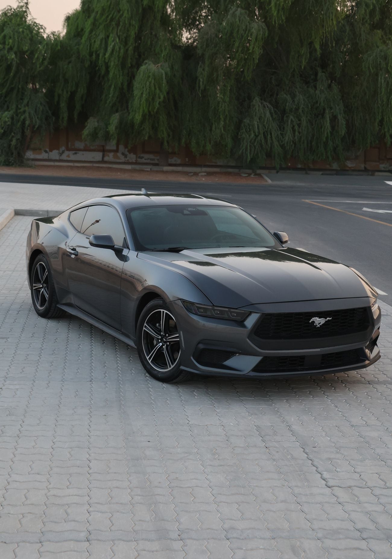 Ford Mustang STANDARD, миниатюра 2
