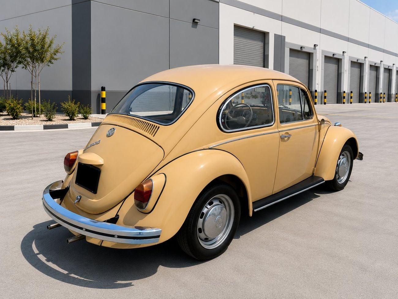Volkswagen Beetle