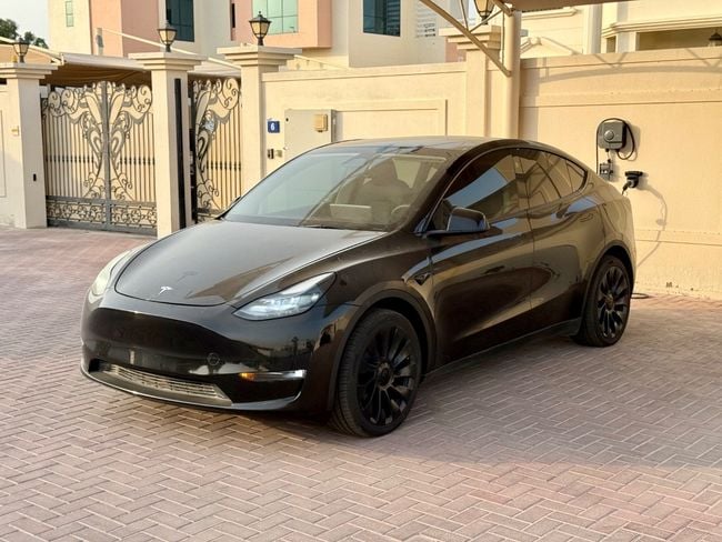Tesla Model Y LONG RANGE, миниатюра 12