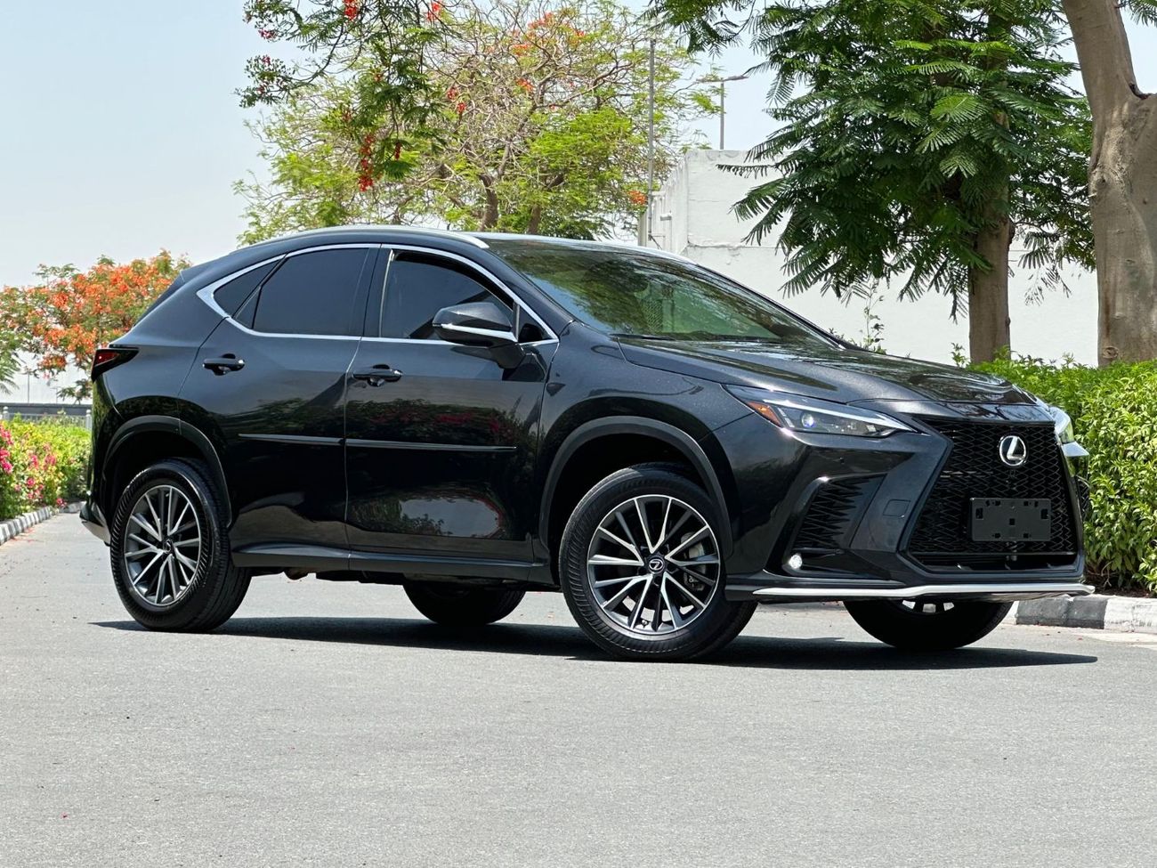 Lexus NX350h Platinum 2.5L