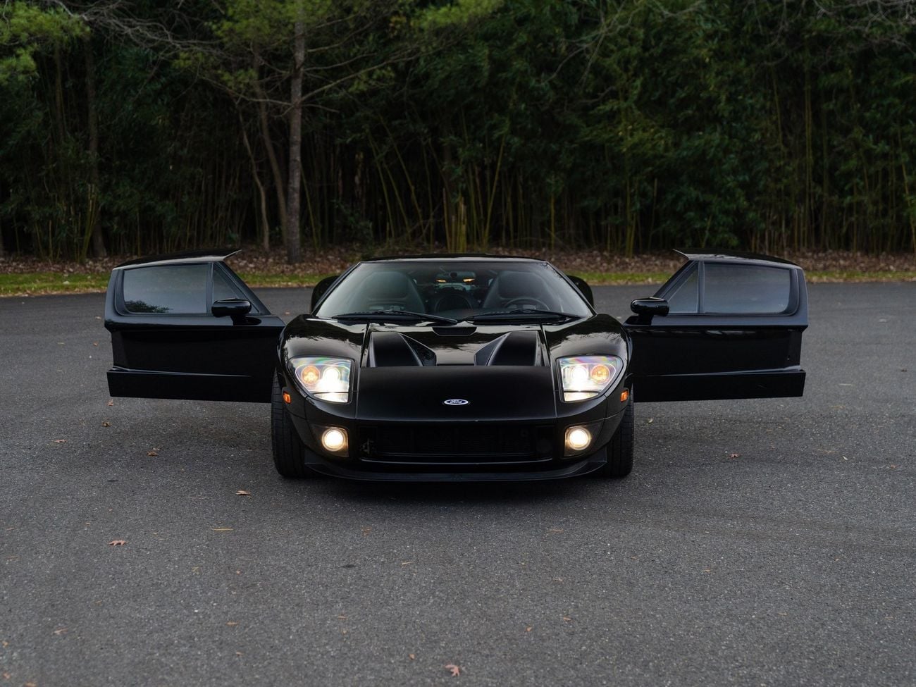 Ford GT Rare 1 of 14 Stripe Delete