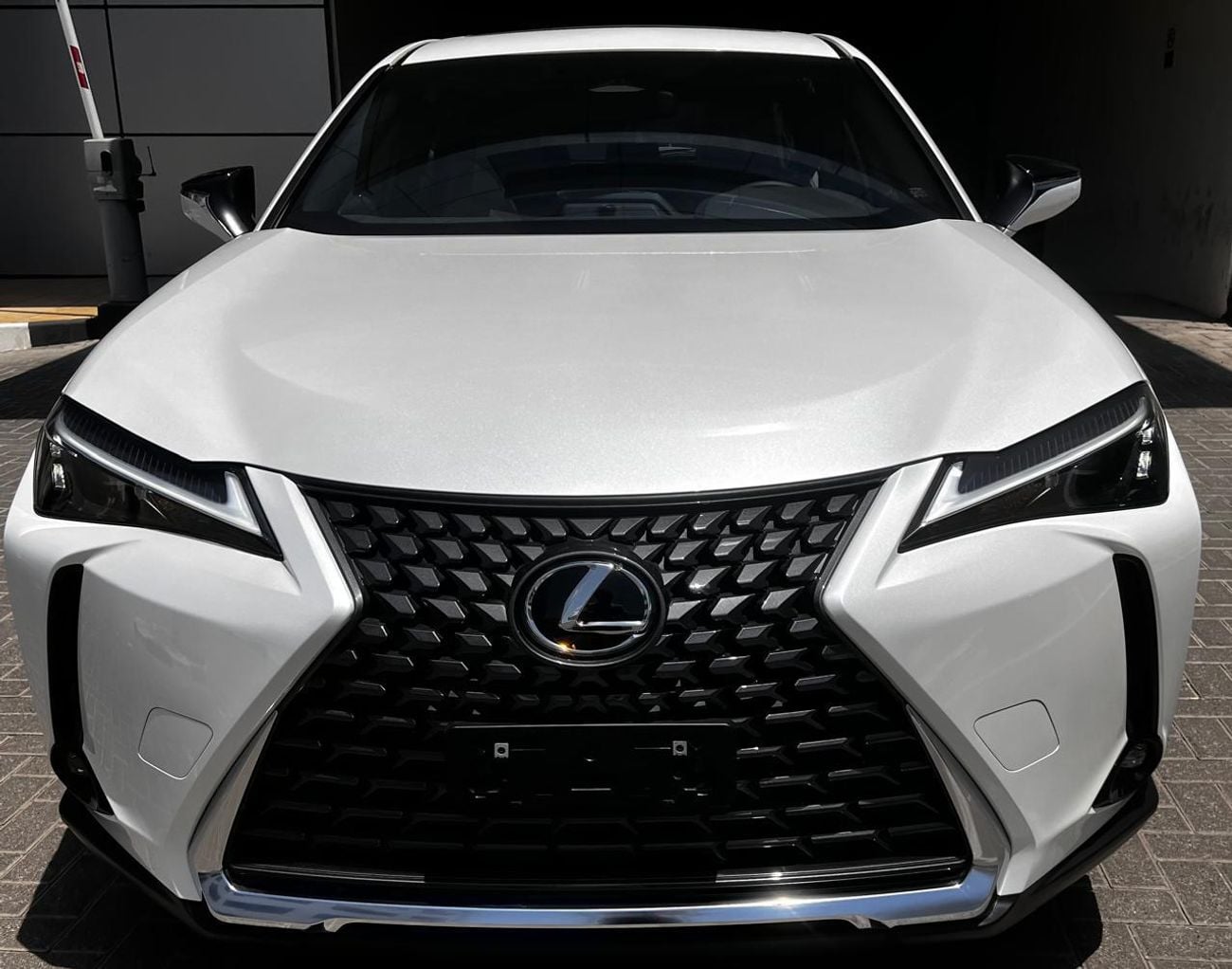 Lexus UX300h