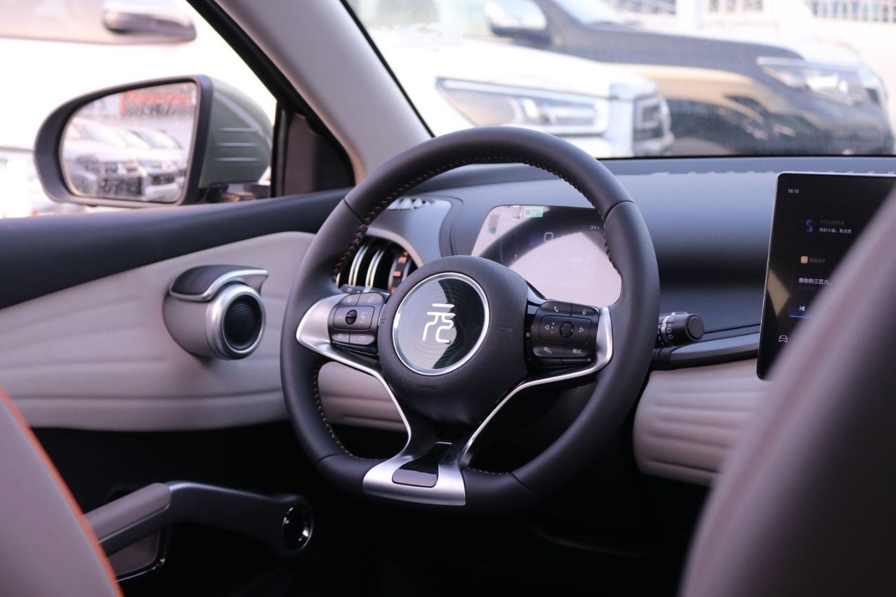 BYD Yuan Plus BYD YUAN PLUS 2024