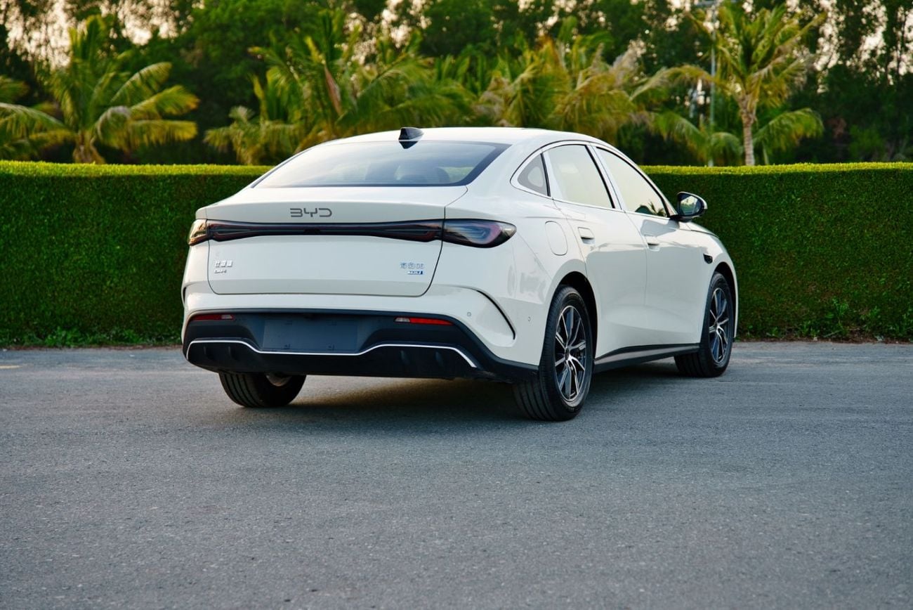 بي واي دي سيل 06 دي إم-آي