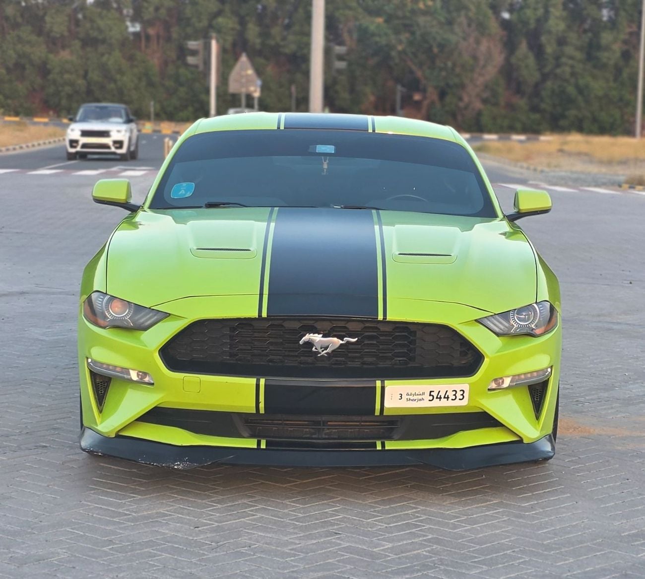 Ford Mustang STD