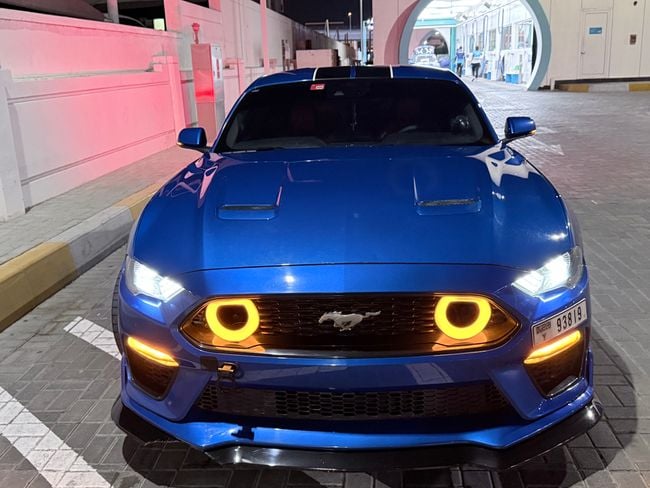 Ford Mustang, миниатюра 14