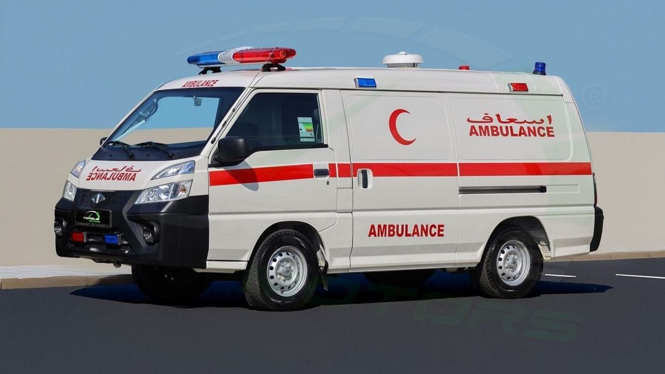 CMC D 260 ( Only For Export ) 2025 CMC D260 Panel Van 2.4L RWD GCC 0Km