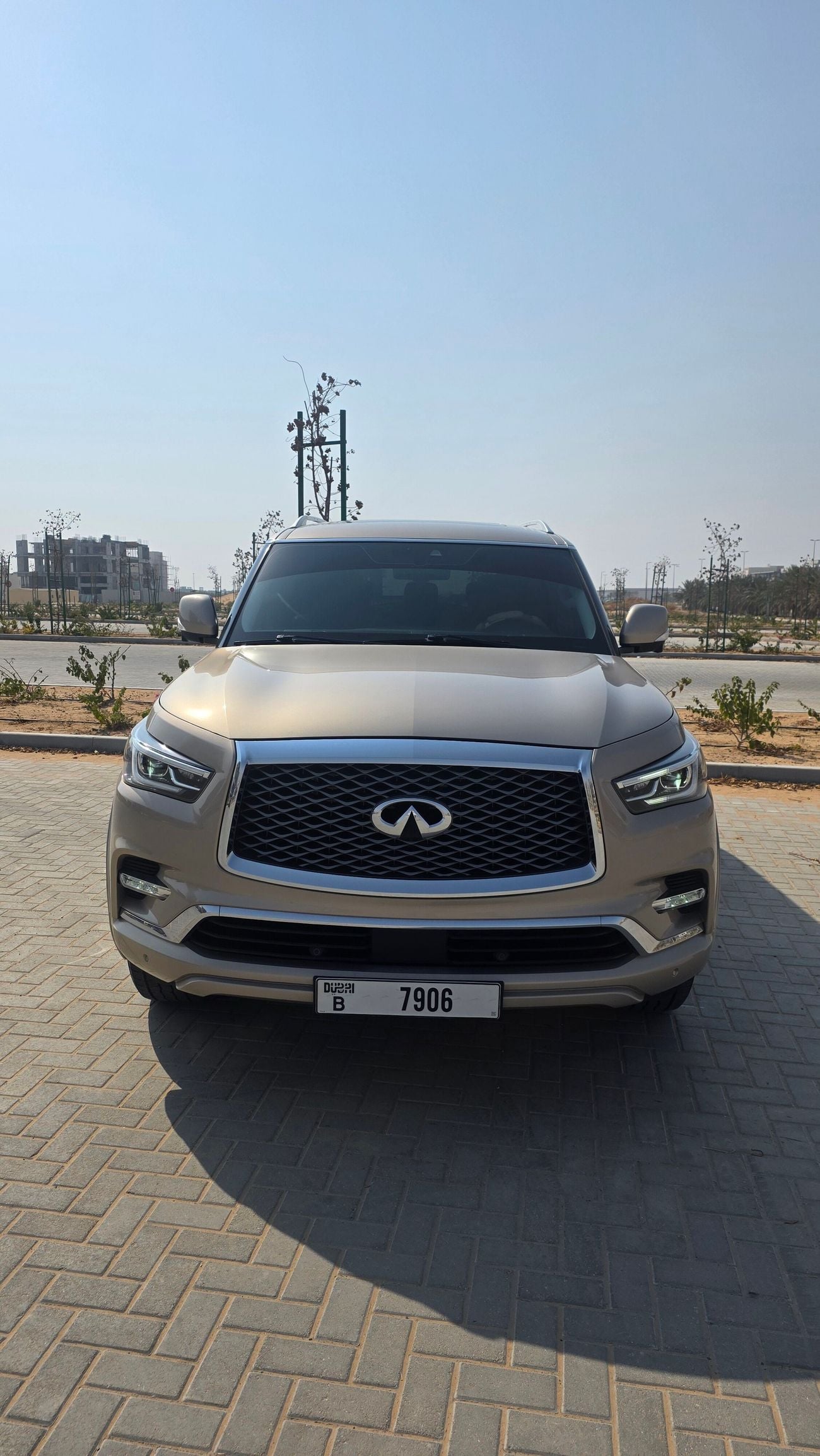 Infiniti QX80 LUXE SENSORY PROACTIVE