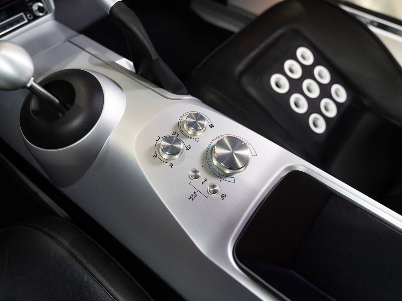 Ford GT Rare 1 of 14 Stripe Delete