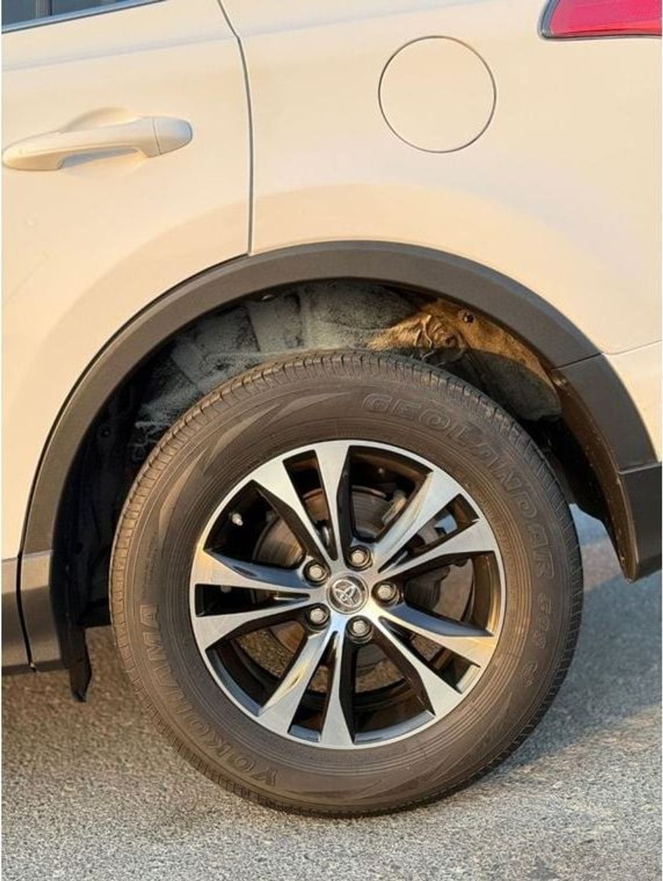 Toyota RAV4 TOYOTA RAV4