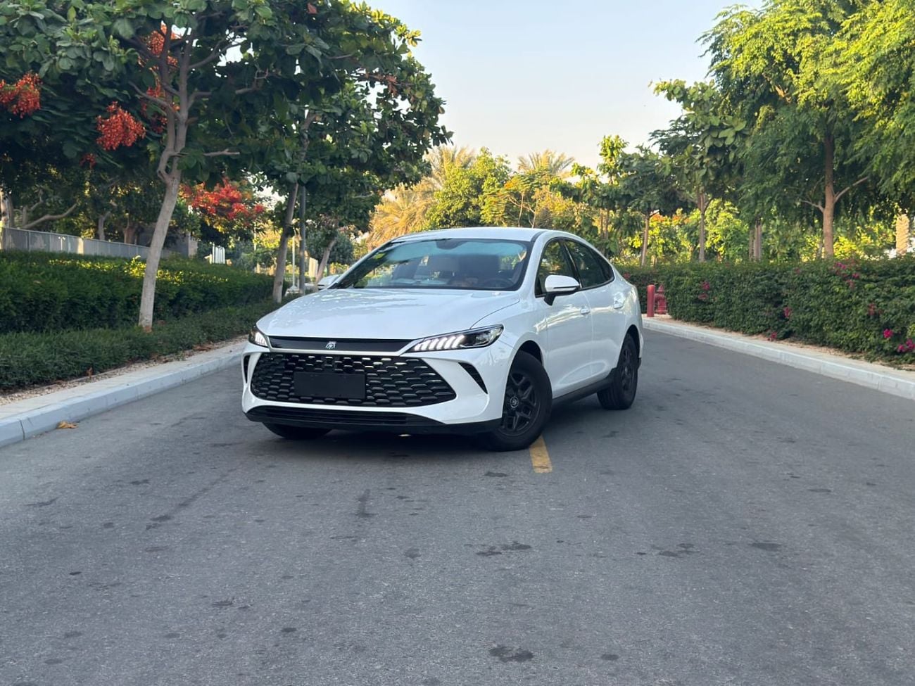 BYD QIN PLUS STD