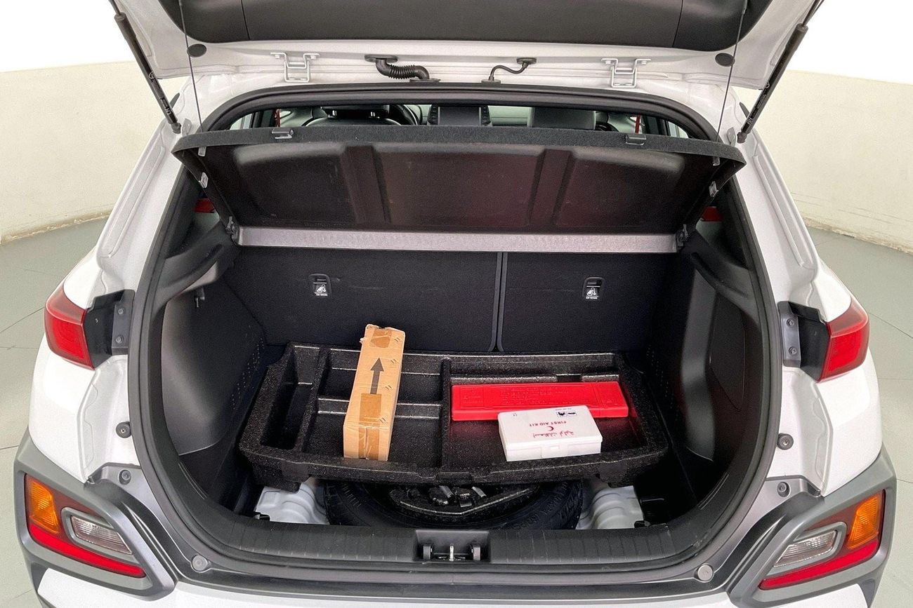 Tesla Model Y Performance (Dual Motor)| 1 year free warranty | Exclusive Eid offer