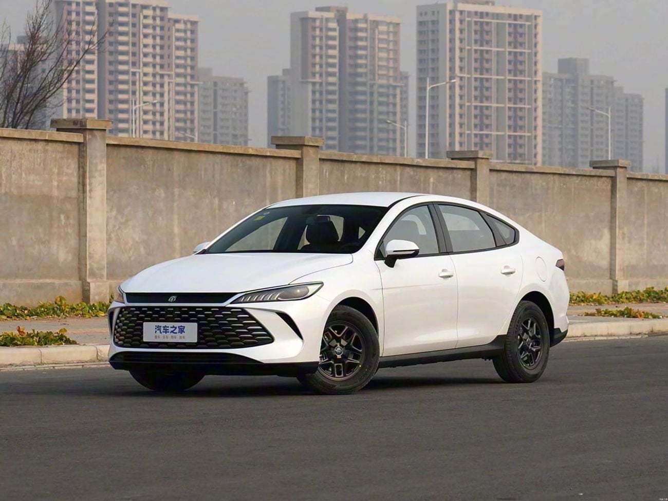 بي واي دي كين بلاس STD BYD QIN PLUS 2024 1.5L هجين 2024