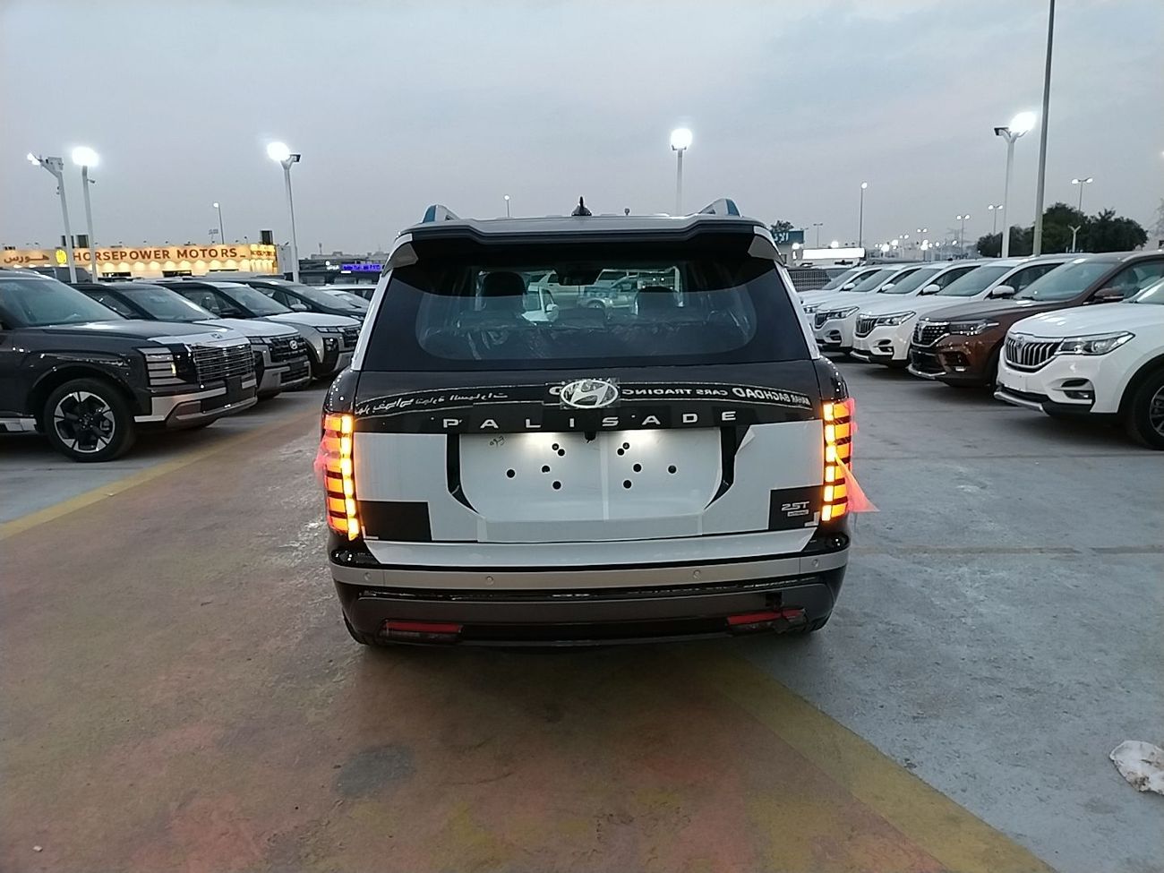 Hyundai Palisade Full limited