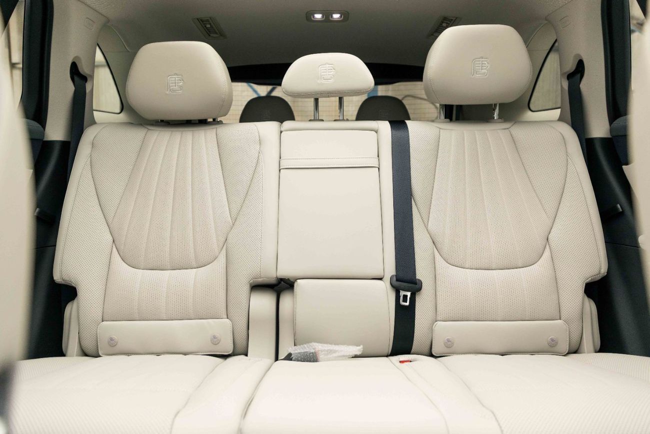 BYD Tang L Flagship- White Inside Black and Grey | Export Only