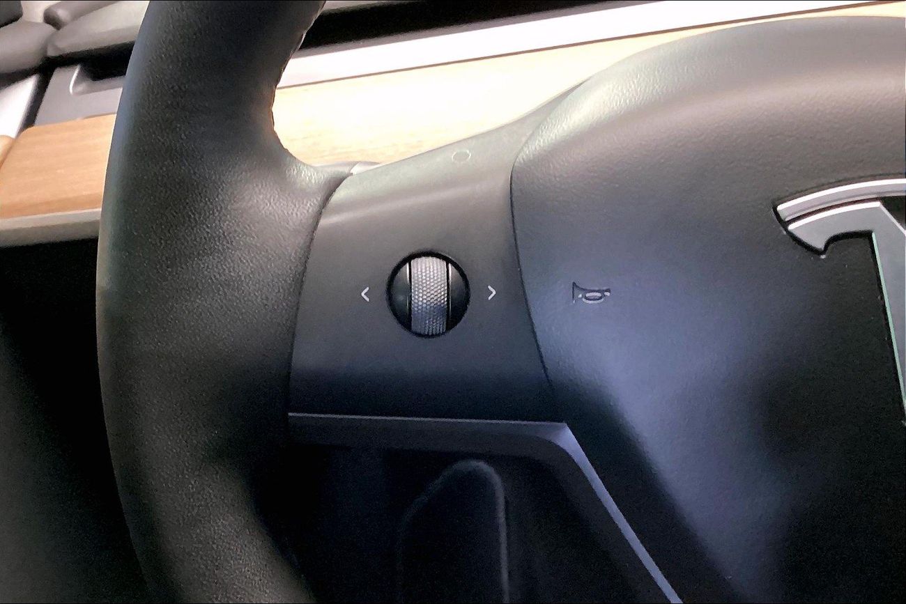 Tesla Model Y Performance (Dual Motor) | Guaranteed Warranty | 0 Down Payment