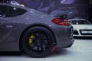 Porsche 718 Cayman GT4 4.0L (420 HP) M/T
