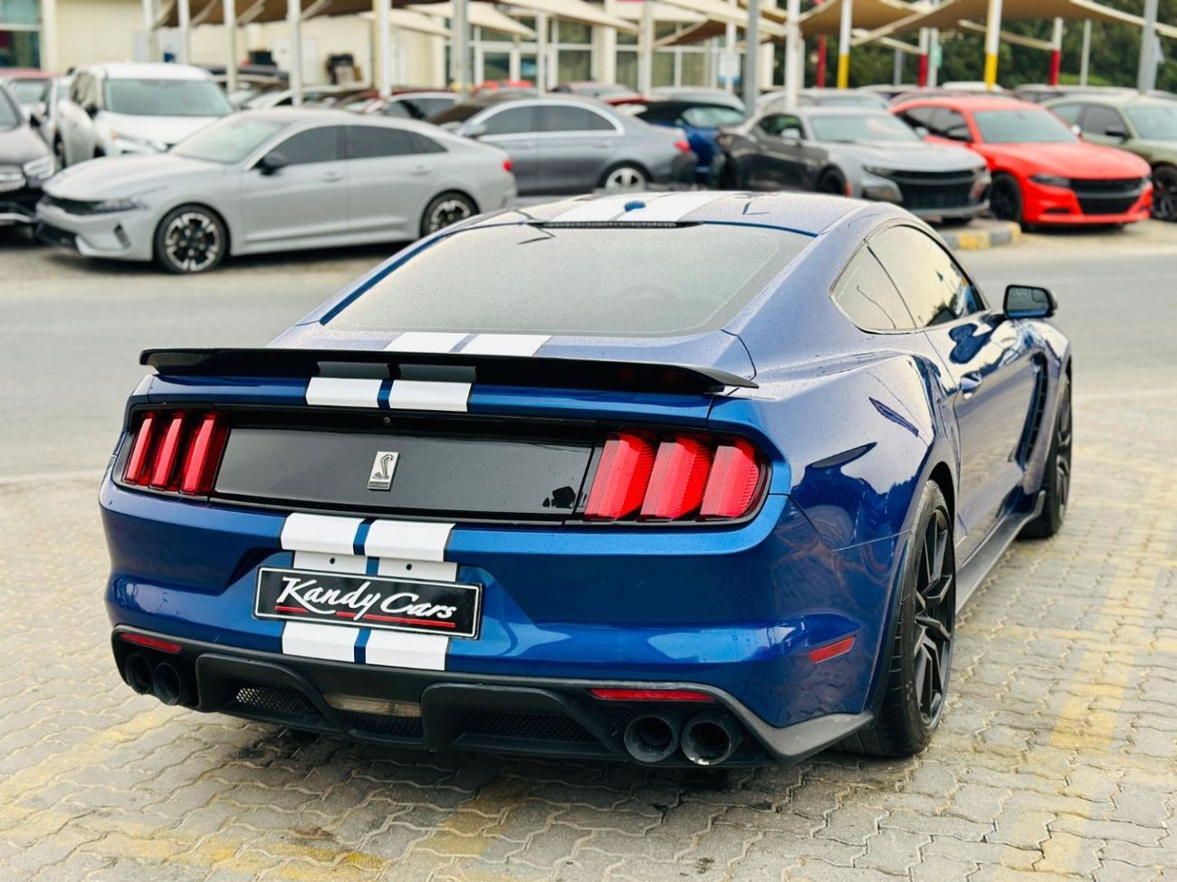 فورد موستانج Shelby GT350 | Monthly AED 3070/- | 0% DP | Active Exhaust | Alcantara Seats | # 23376