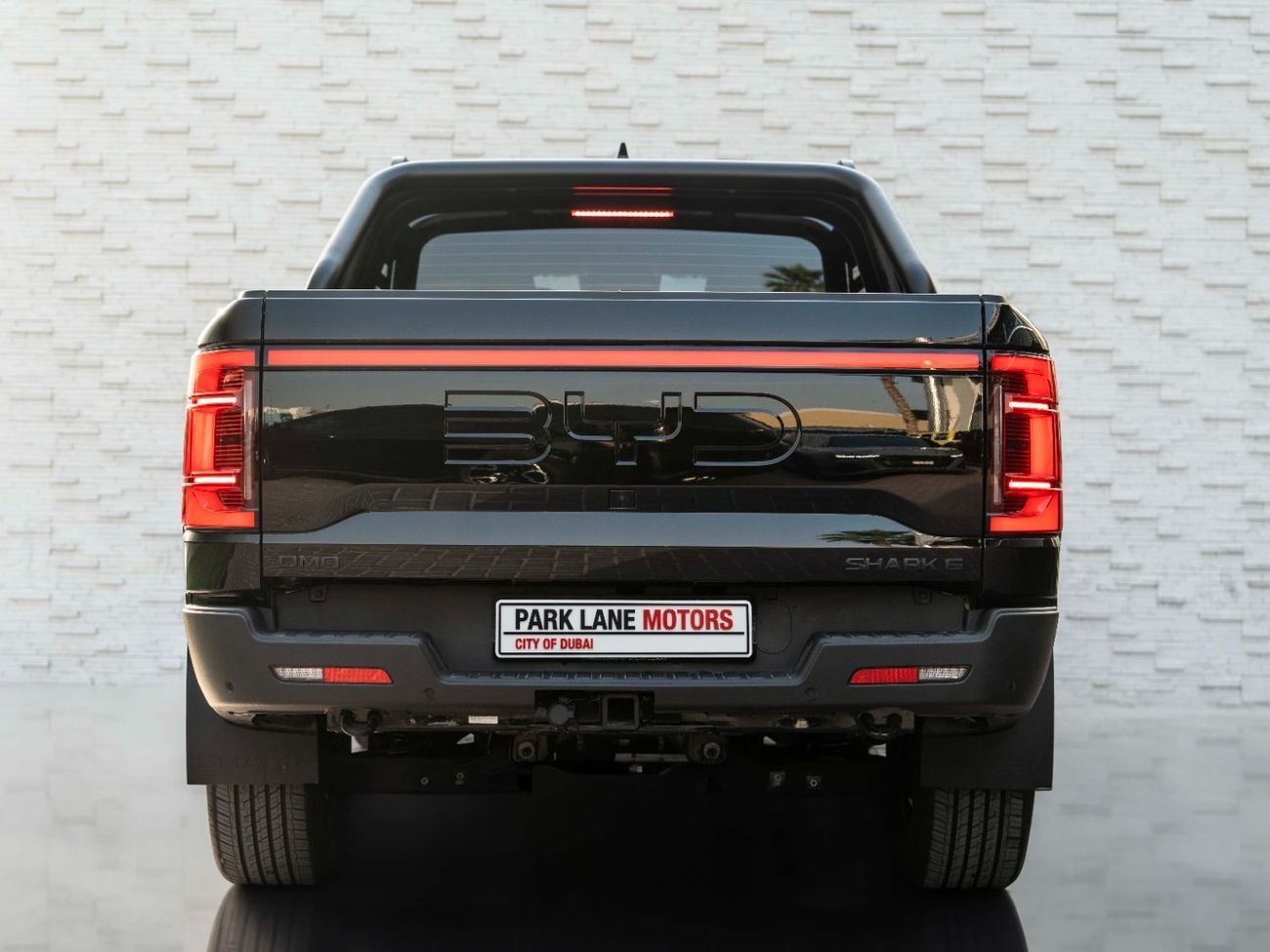 بي واي دي شارك 6