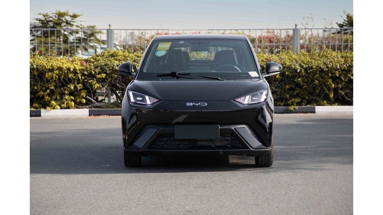 BYD Seagull 2024 BYD Seagull - Black inside Blue | Export Only