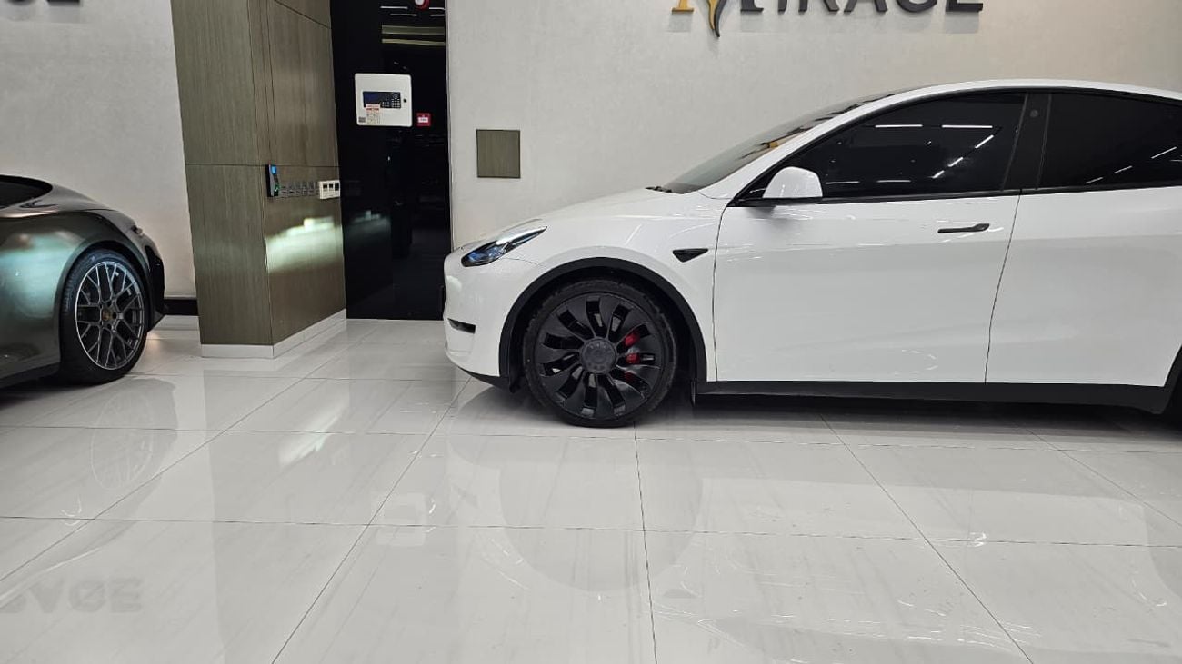 Tesla Model Y PERFORMANCE