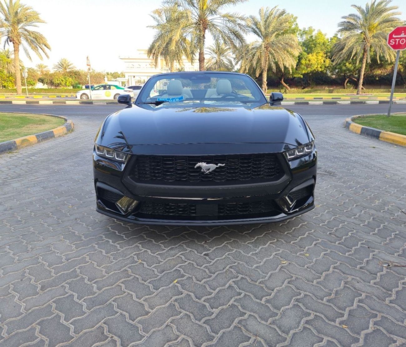 Ford Mustang EcoBoost 2.3L Convertible A/T