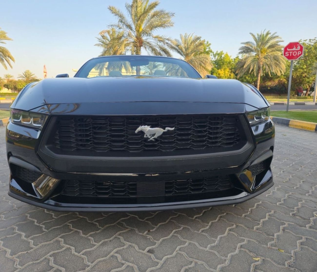Ford Mustang EcoBoost 2.3L Convertible A/T