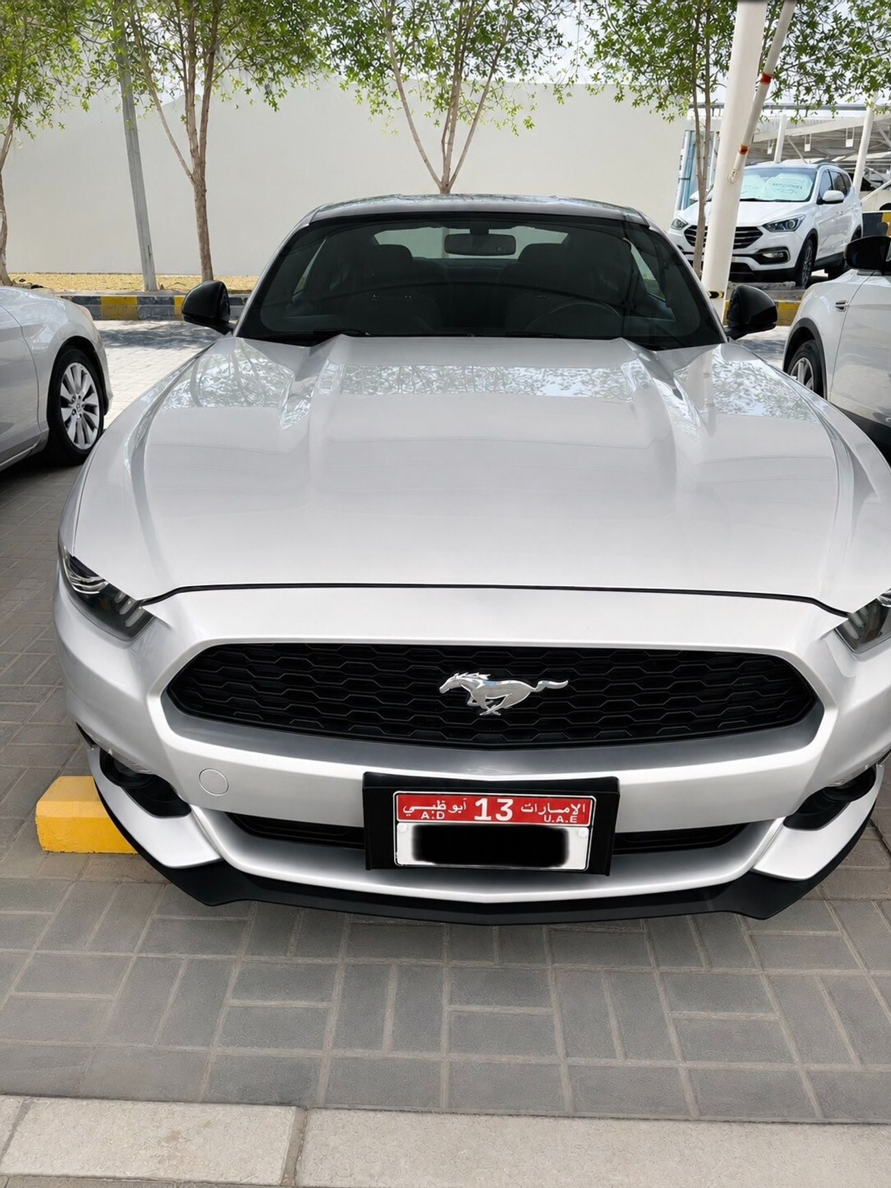 Ford Mustang STD