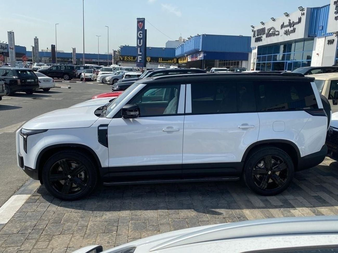 ROX 01 Long Range VIP 6 Seats VIP