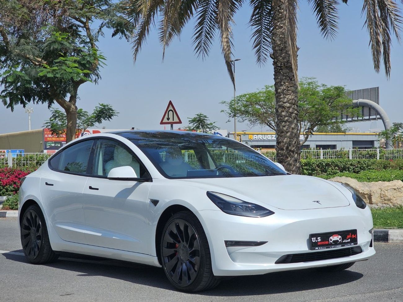 Tesla Model 3 PERFORMANCE