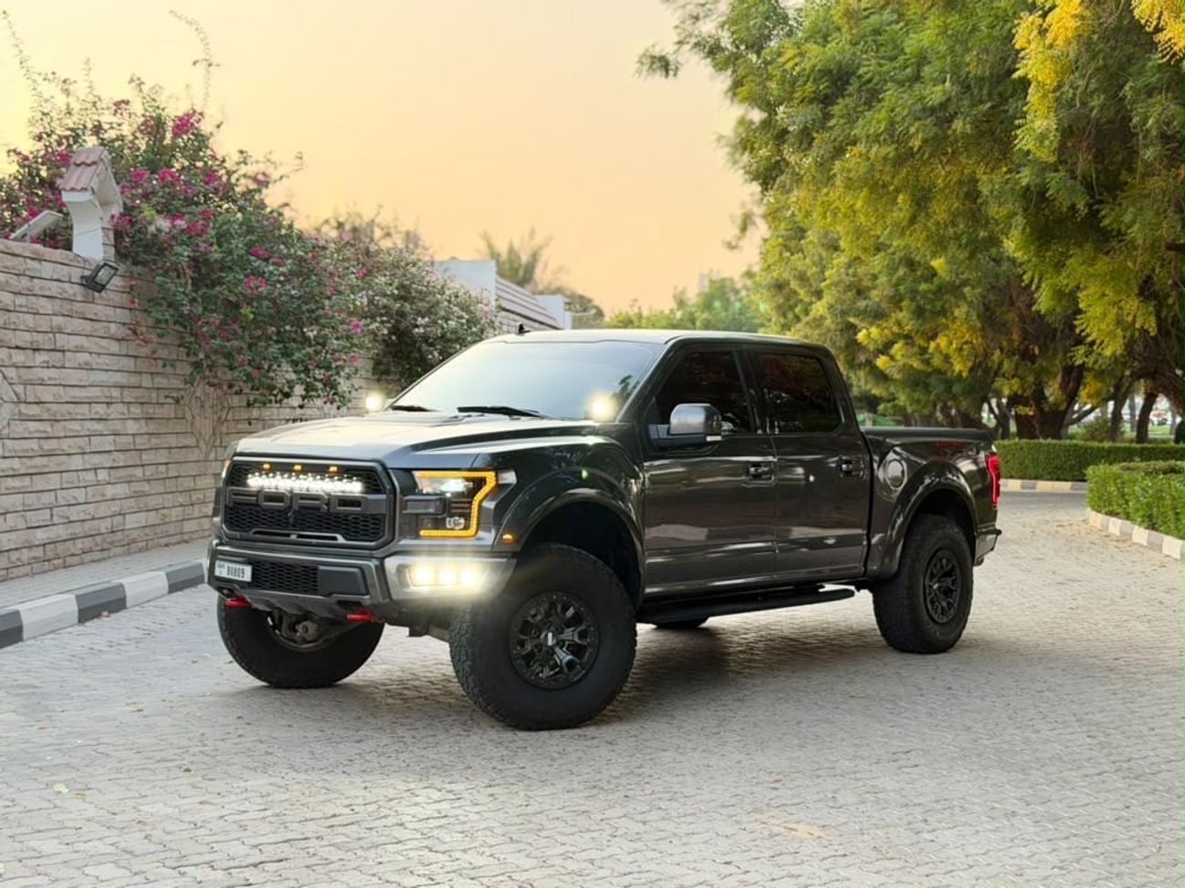 Ford F-150 RAPTOR CREW CAB LUX