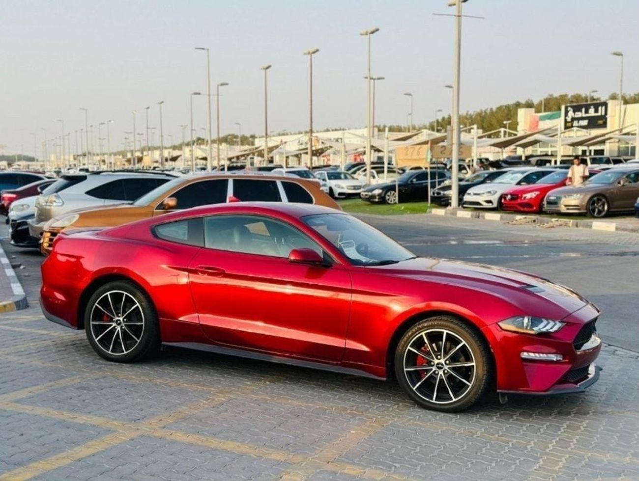 فورد موستانج ايكوبوست