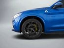 Alfa Romeo Stelvio Quadrifoglio 2.9L (503 HP)