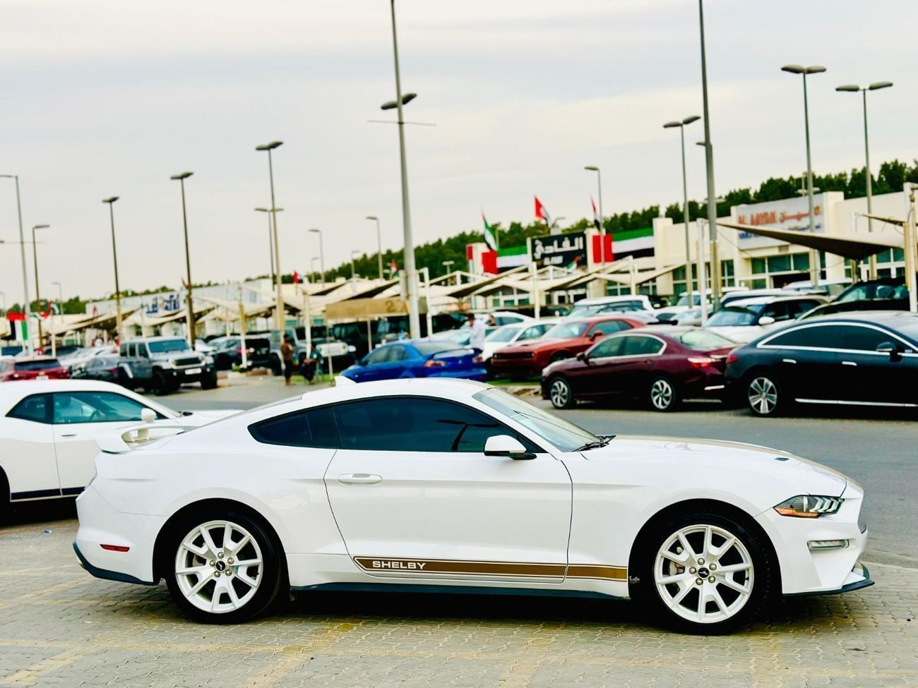 Ford Mustang STD 2.3L Coupe A/T | Monthly 1300/- | 0% DP | # 12590S