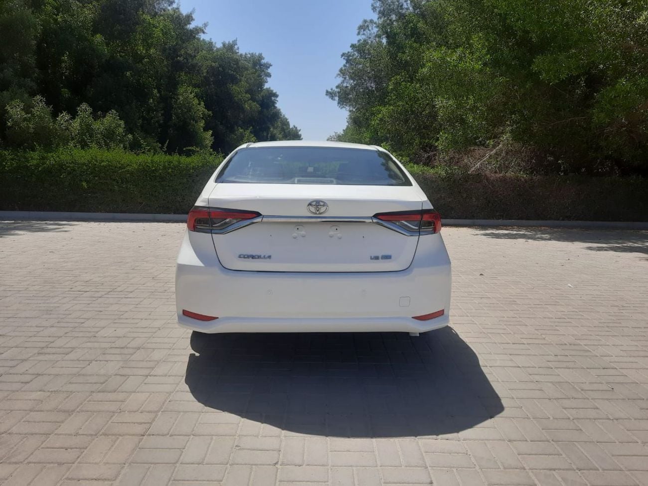Toyota Corolla XLI