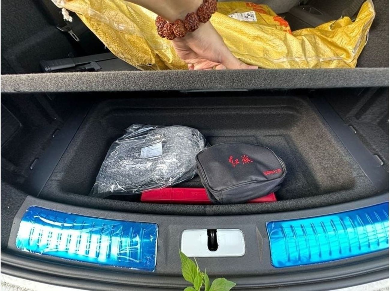 HONGQI EHS9 Hongqi EHS9 Standard 6 Seater