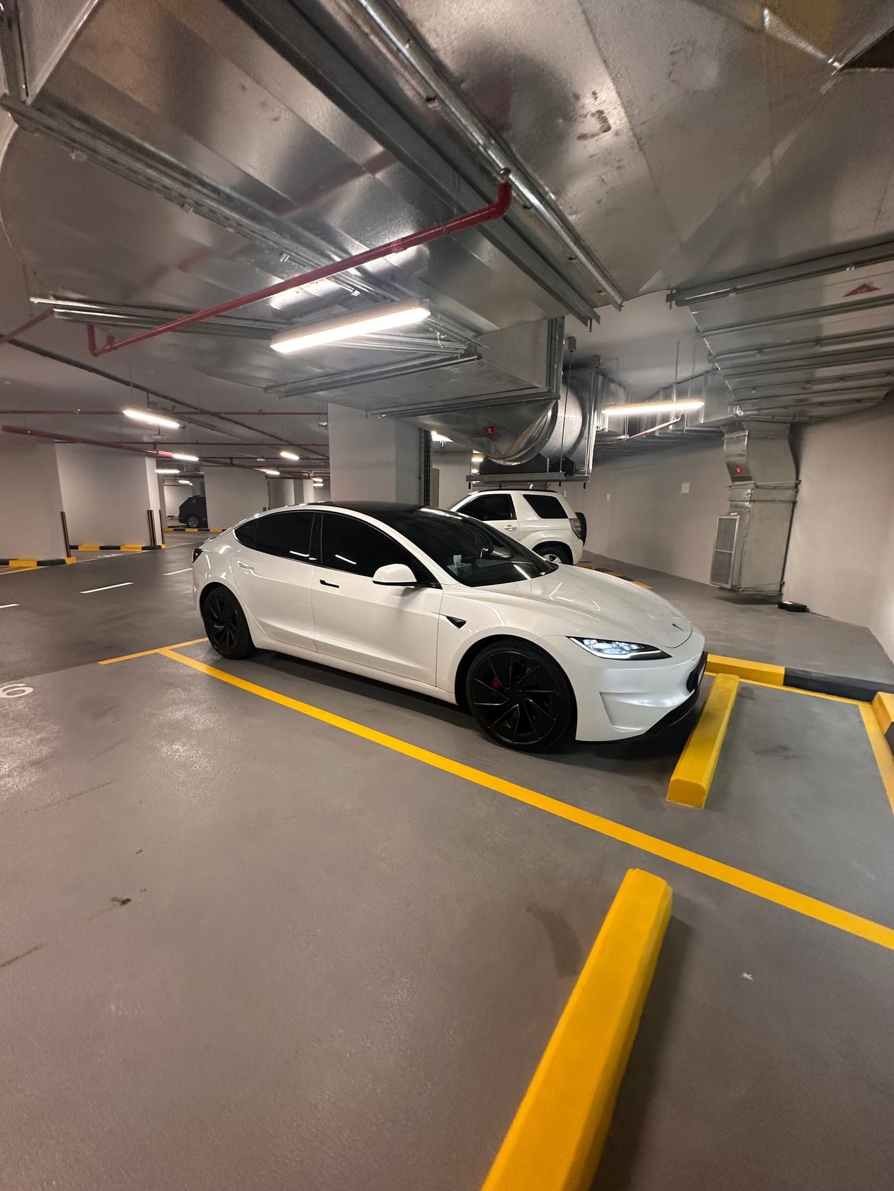 Tesla Model 3 PERFORMANCE