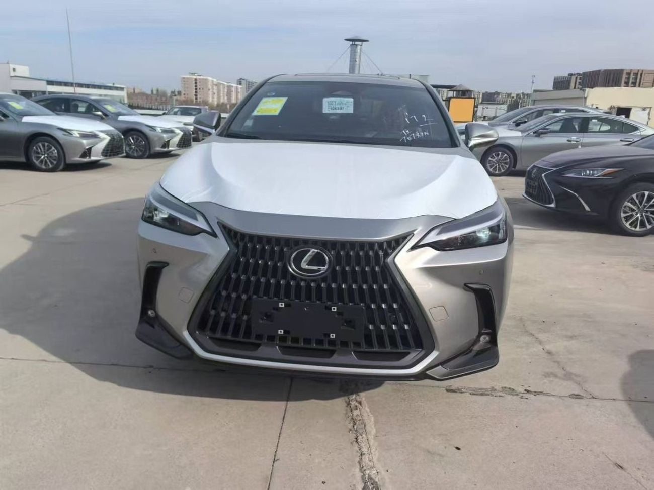 Lexus NX350 Lexus 350 / 2025 / Chinese