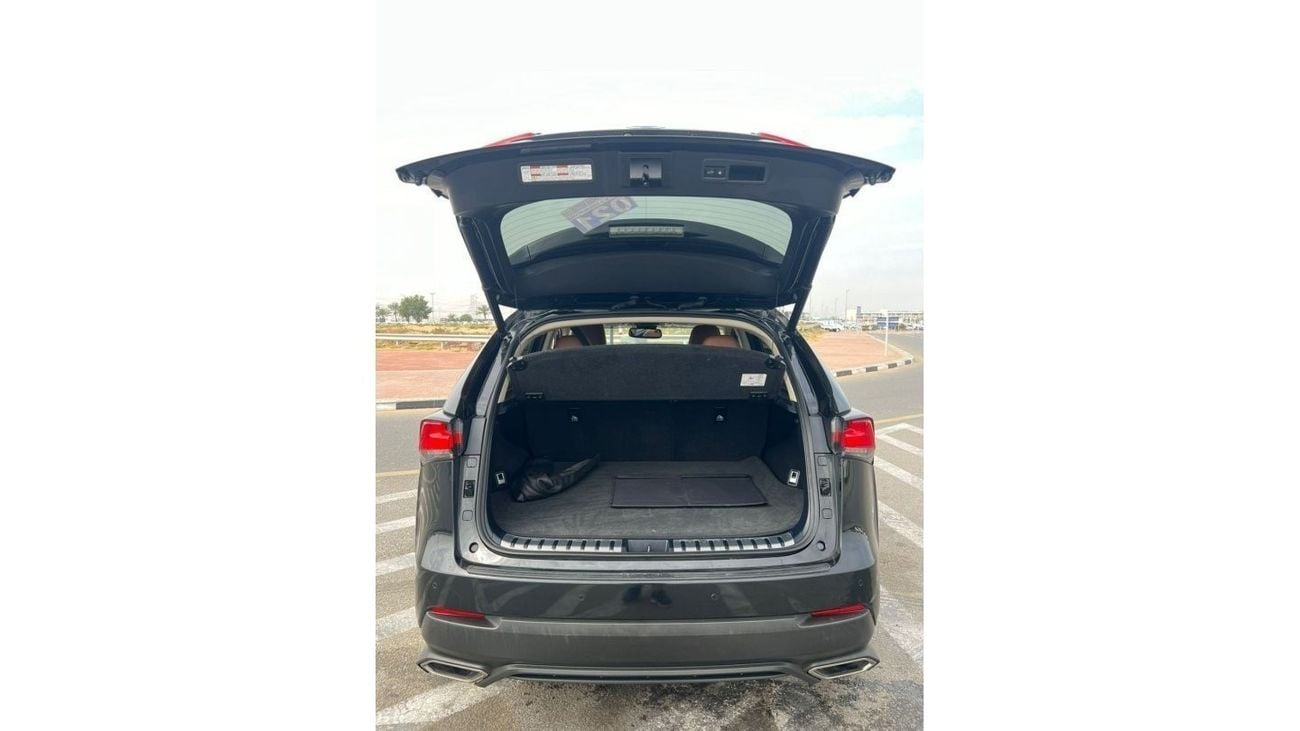 Lexus NX300 2021 Lexus NX300 2.0L V4 - UAE PASS