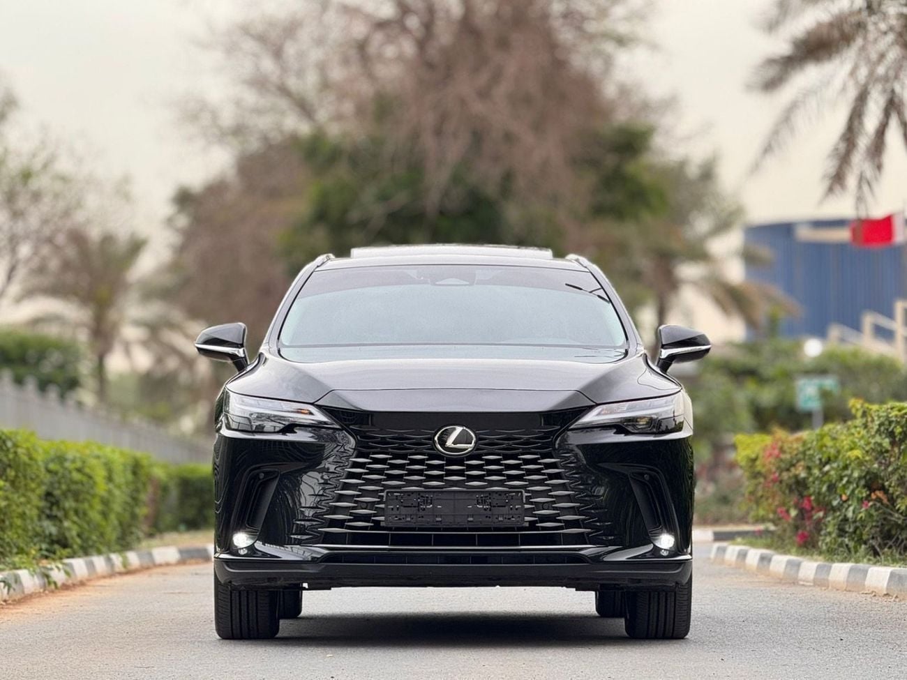 Lexus RX350  RX350 h AWD 2025 / GCC