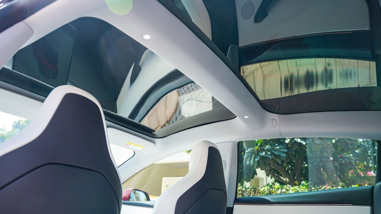 Tesla Model 3 Performance (AWD)