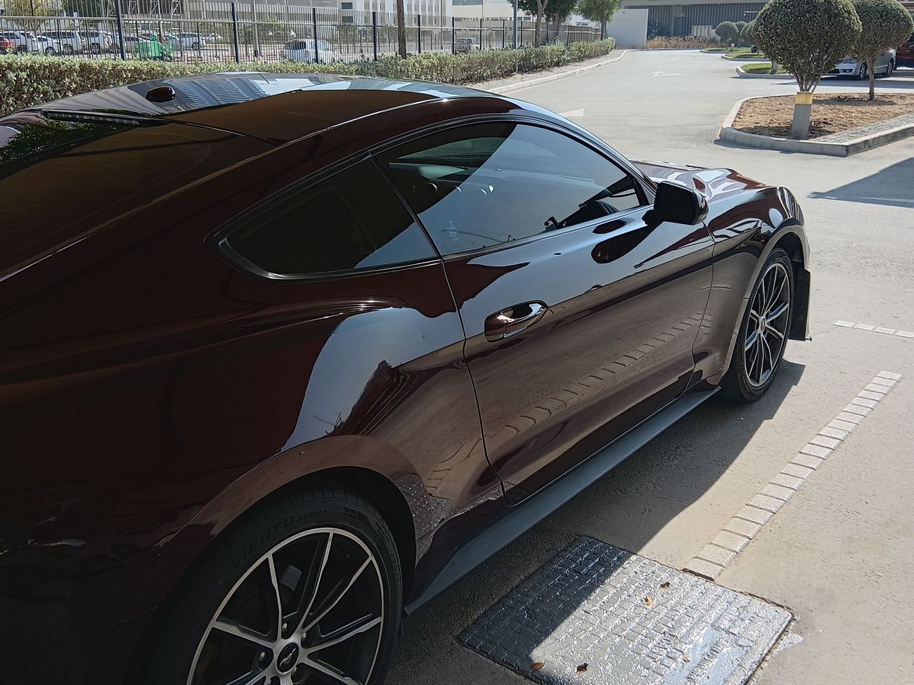 فورد موستانج