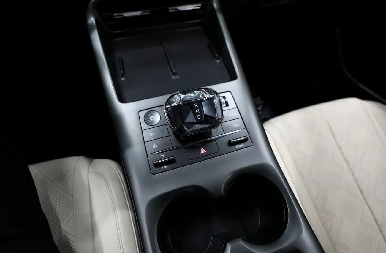 BYD QIN PLUS STD