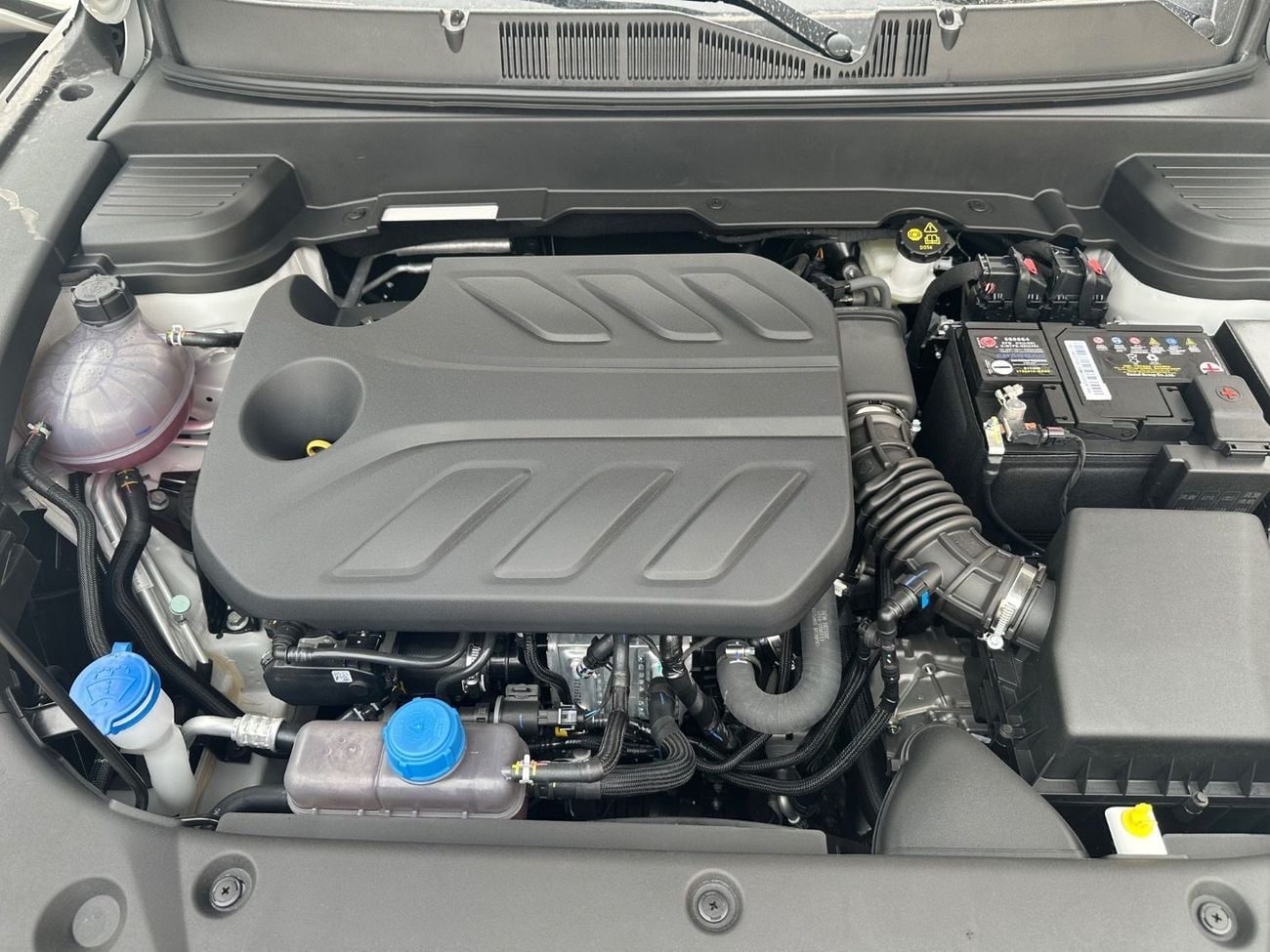 تشنجان x5 بلس