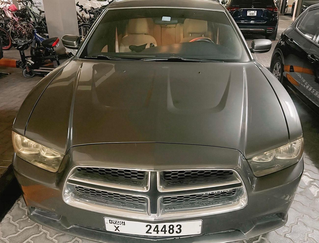Dodge Charger
