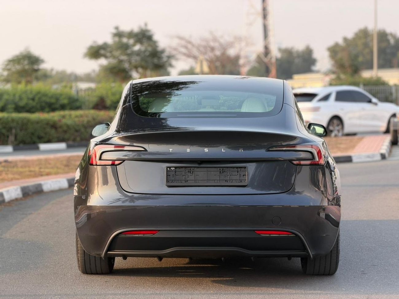 تسلا موديل 3 Rear-Wheel Drive