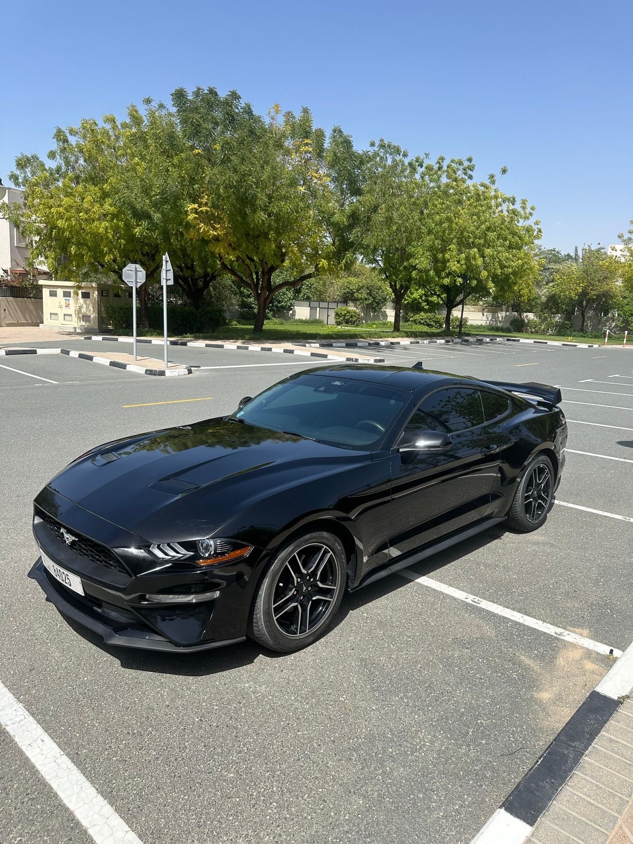 Ford Mustang Ecoboost