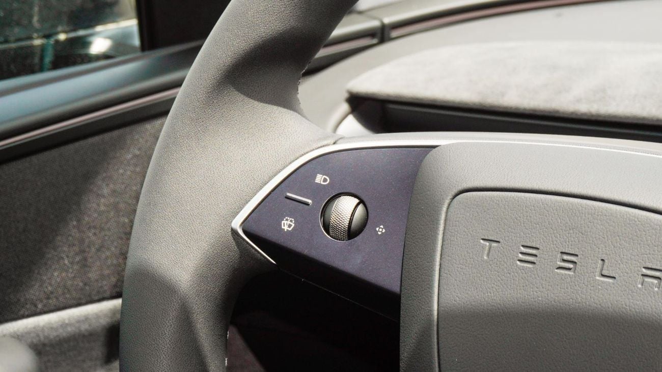 Tesla Model Y Real-Wheel Drive || Standard Range || 0 KM